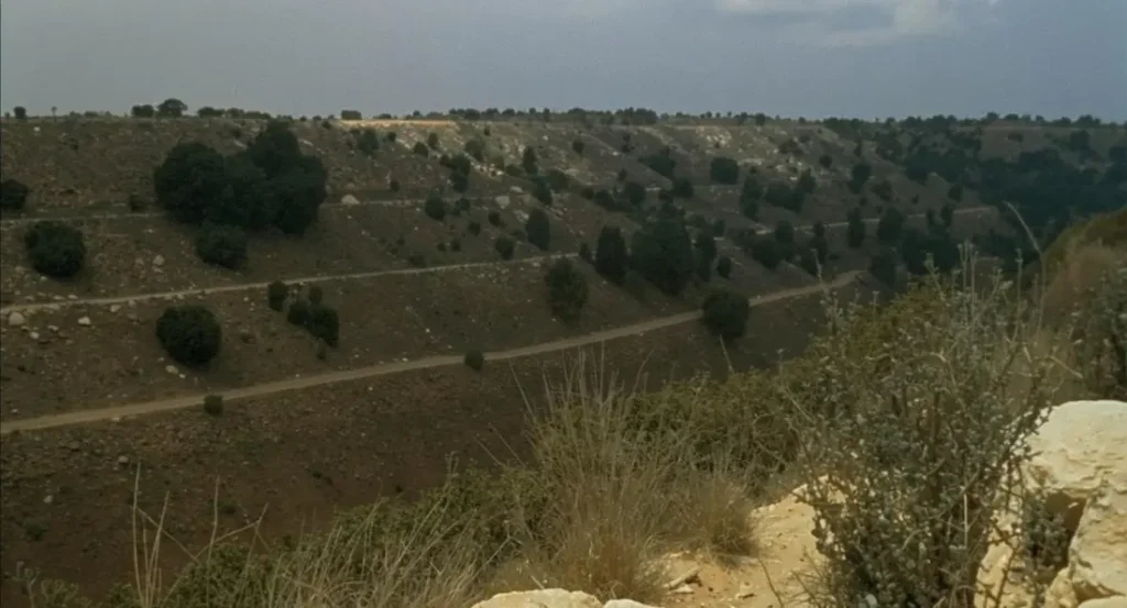 סוגי אדמה בעמק יזרעאל